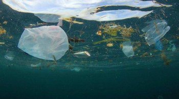 Northern Living - Counter The Plastic crisis